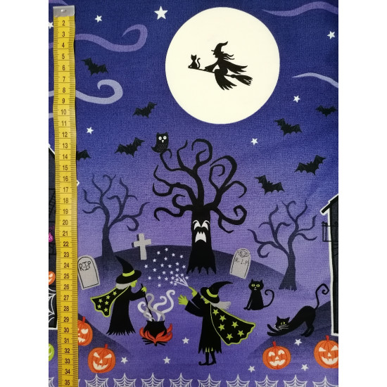 Haunted House - Glow in the Dark Haunted House - by Lewis and Irene - per 45 cm cut