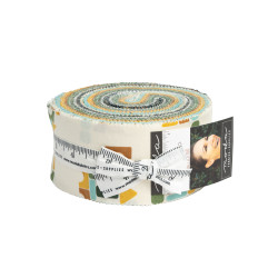 ABC XYZ - 40 2.5" x 42" precut fabric - by Stacy Iest Hsu - Moda - Jelly Roll