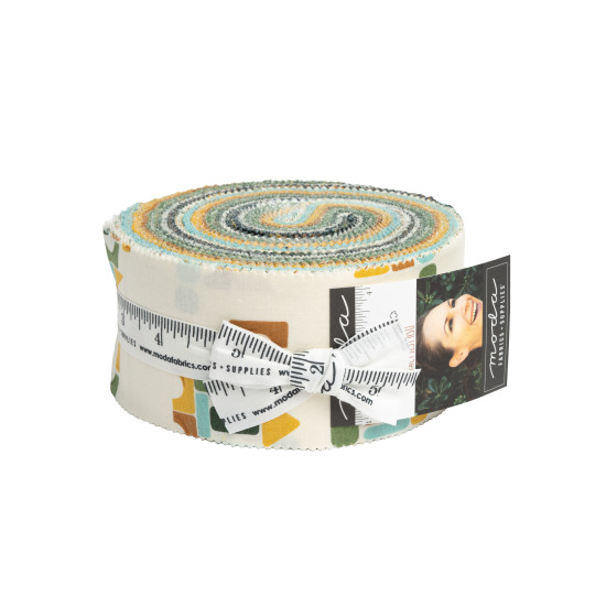 ABC XYZ - 40 2.5" x 42" precut fabric - by Stacy Iest Hsu - Moda - Jelly Roll