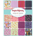 Superbloom by Robin Pickens