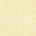 Cream Fabric