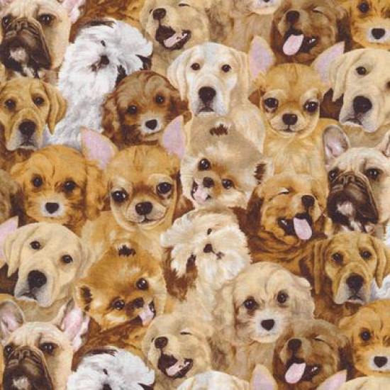 My pet Family - Dogs by Paintbrush Studio - per 1/4m