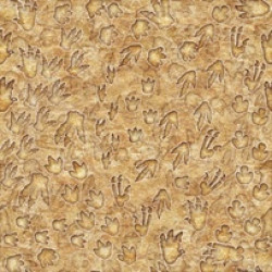 Jurassic Jungle - Amber Dino Tracks by Quilting Treasures - per 1/4m