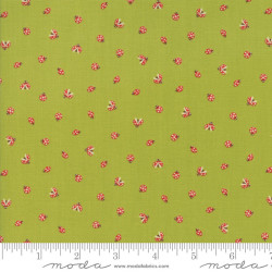Lucky Day by Momo - Ladybirds for Moda - per 1/4m