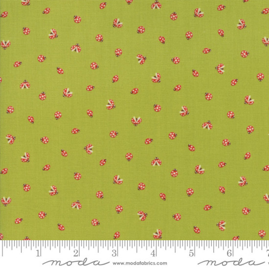 Lucky Day by Momo - Ladybirds for Moda - per 1/4m
